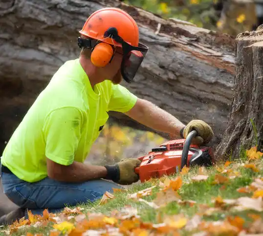 tree services Valatie